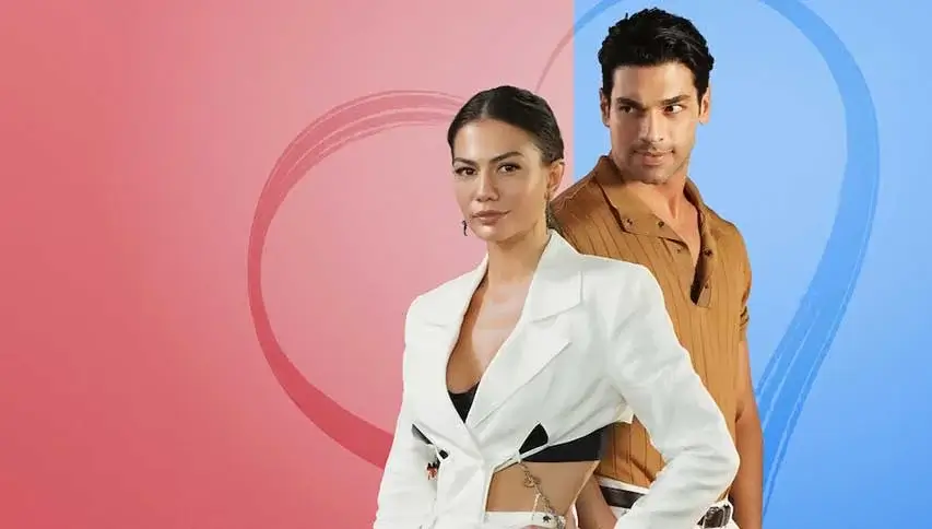 iptv smarters pro , iptv global , iptv subscription